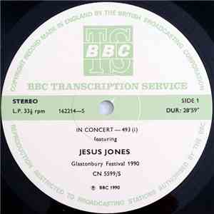 Jesus Jones / World Party - In Concert-493