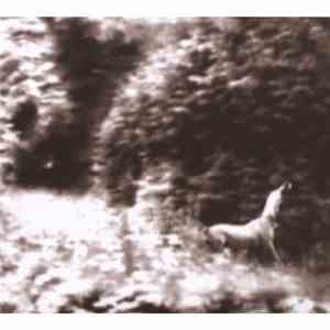 Syd Matters - Ghost Days