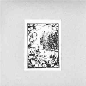 The Rabbit Theory / Kids Return  / Duct Hearts / Eucalypt - Leave Nothing B ...
