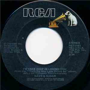 Dave & Sugar - I'm Knee Deep In Loving You