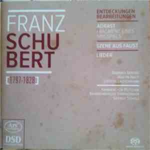 Franz Schubert - Barbara Berens, Martin Nagy, Steffen Lachenmann, Kammercho ...