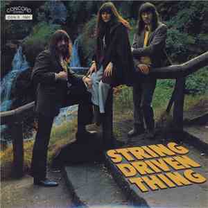 String Driven Thing - String Driven Thing