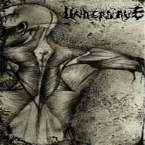 Undersave - After The Domestication Comes The Manipulation