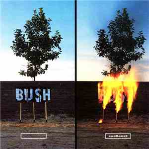 Bush - Swallowed