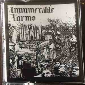 Innumerable Forms - Petrified/Joyless