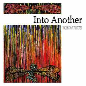 Into Another - Ignaurus