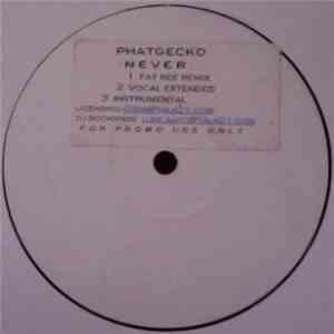 Phat Gecko - Never