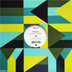 Baikal - Pelican's Flight