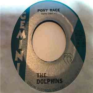The Dolphins  - Pony Race