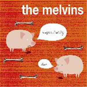 The Melvins - Sugar Daddy Live