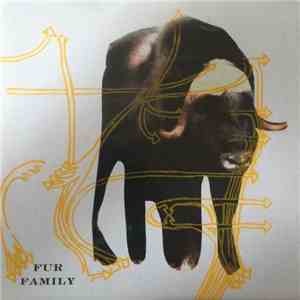 Fur Family - Musk Ox