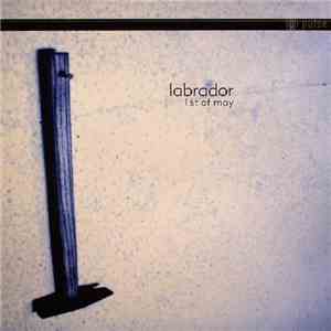 Labrador - 1st Of May