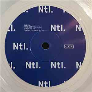 The National - The System Only Dreams In Total Darkness / Guilty Party