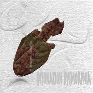 Various - IFAR Musique Concrète Intonation Dysmorphia Compilation
