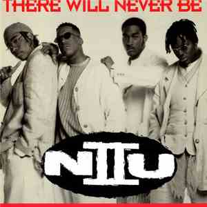 N II U - There Will Never Be