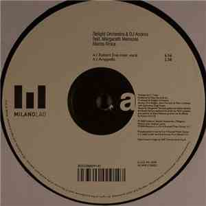 R.E.Light Orchestra & DJ Andrea Feat. Margareth Menezes - Mama Afrika