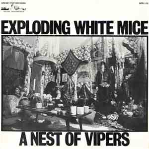 Exploding White Mice - A Nest Of Vipers