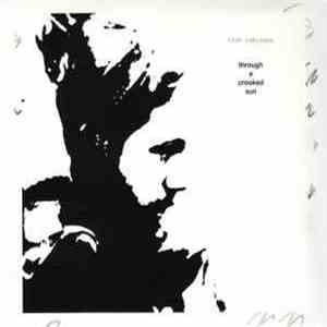 Rich Robinson - Through A Crooked Sun