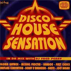 Various - Disco House Sensation