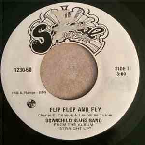 Downchild Blues Band - Flip Flop And Fly