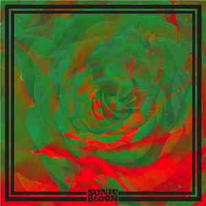 Night Beats - Sonic Bloom