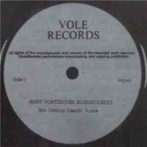 Aunt Fortescues Bluesrockers - Not Getting Caught Again