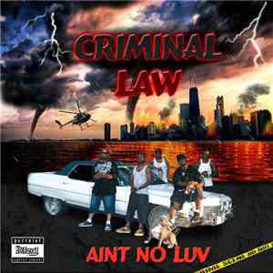 Criminal Law  - Aint No Luv
