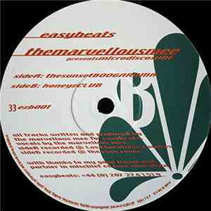 TheMarvelousMee - MicrodiscosOne