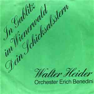 Walter Heider, Orchester Erich Benedini - In Gablitz Im Wienerwald / Dein S ...
