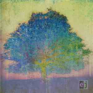 Eric Johnson  - EJ