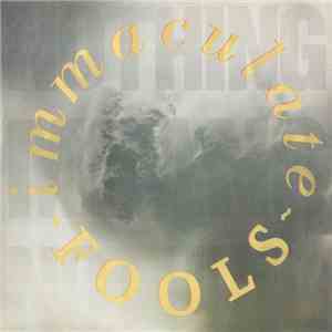 Immaculate Fools - Nothing Means Nothing