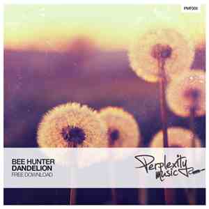 Bee Hunter - Dandelion