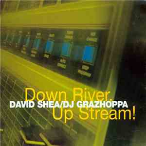 David Shea / DJ Grazhoppa - Down River, Up Stream!
