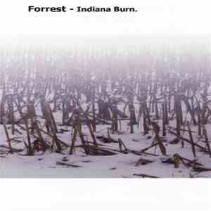 Forrest - Indiana Burn
