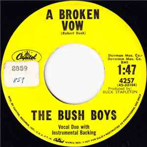 The Bush Boys  - A Broken Vow / Never Before