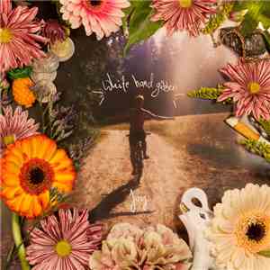 White Hand Gibbon - Joy