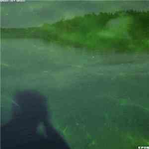 Epoq - Green Wet Green