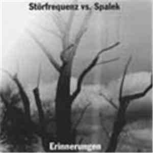 Störfrequenz vs. Spalek - Erinnerungen