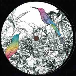 A Vision of Panorama - Two Birds