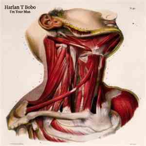 Harlan T. Bobo - I'm Your Man
