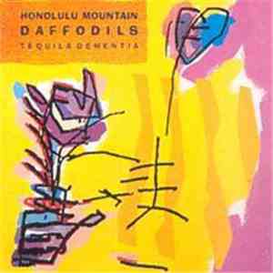 Honolulu Mountain Daffodils - Tequila Dementia