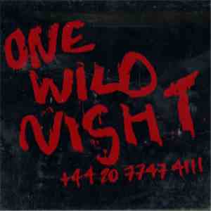 Bon Jovi - One Wild Night