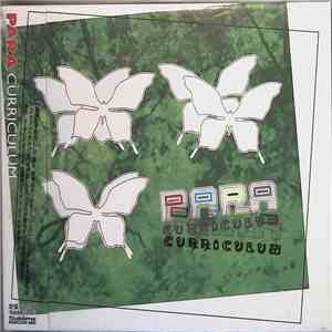 Para - Curriculum