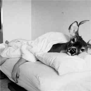 Zoomonk, Robert Krieger - I Hate Humans
