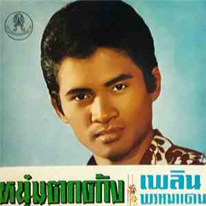 เพลิน พรหมแดน - หนุ่มตกค้าง