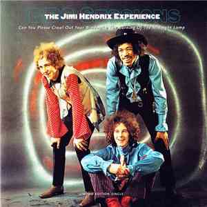 The Jimi Hendrix Experience - Can You Please Crawl Out Your Window?