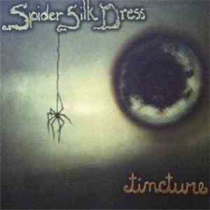 Spider Silk Dress - Tincture