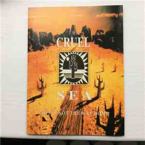 The Cruel Sea - This Is Not The Way Home