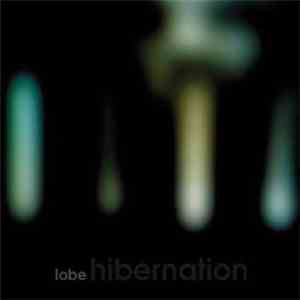 Lobe - Hibernation