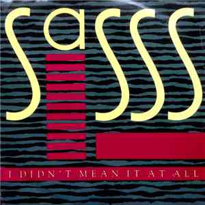 Sasss - I Didn't Mean It At All